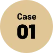 Case01