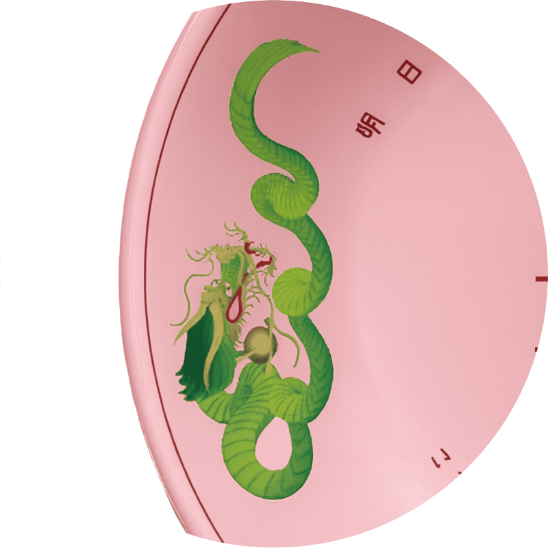 YEARどんぶり 令和七年2025 - 天下一品 -鶏がらベースのこってり